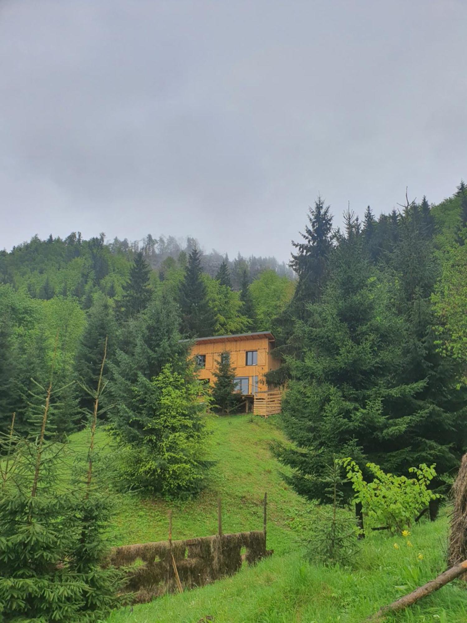La Hambare Villa Colibiţa Eksteriør billede